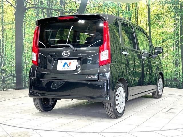 25036154_carP_l_12.jpg