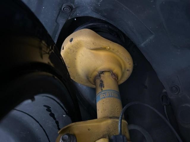 24238994_carP_l_20.jpg
