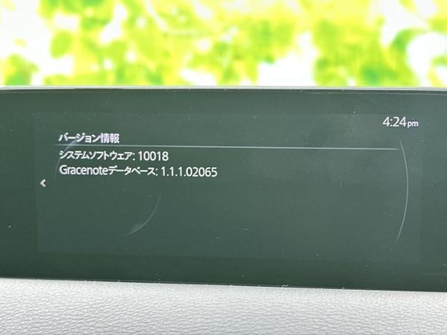 22372891_carP_l_19.jpg