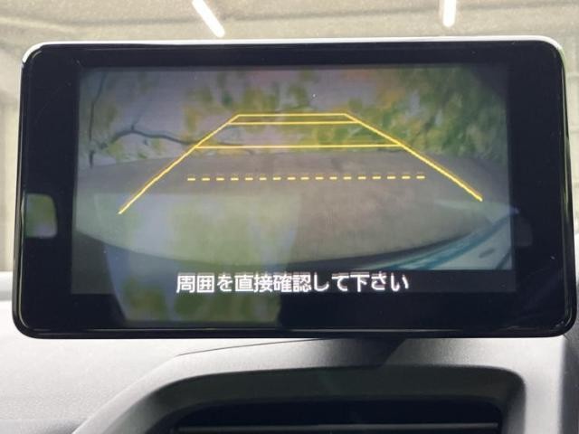 22582320_carP_l_5.jpg