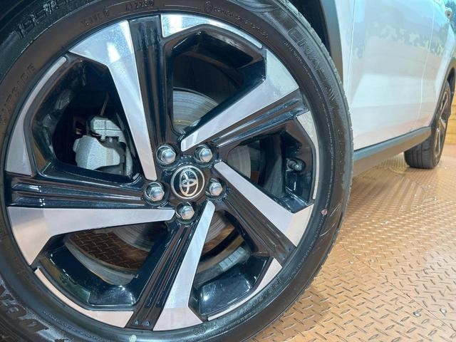 25572058_carP_l_7.jpg