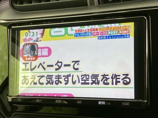 22378606_carP_l_7.jpg