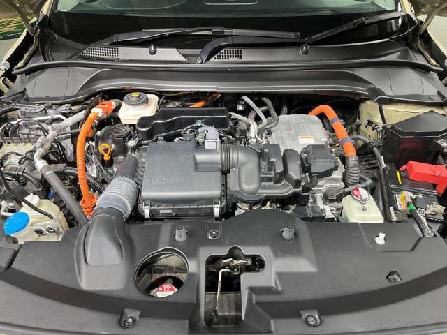 25527575_carP_l_16.jpg
