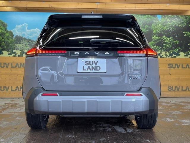 24767428_carP_l_9.jpg