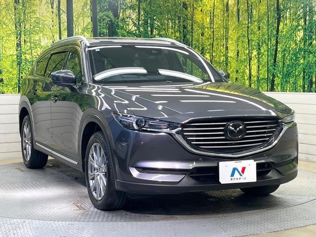 23477634_carP_l_12.jpg