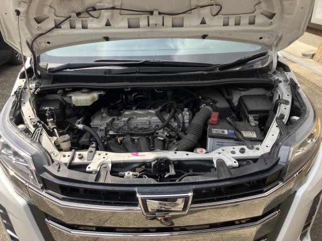 26887513_carP_l_9.jpg