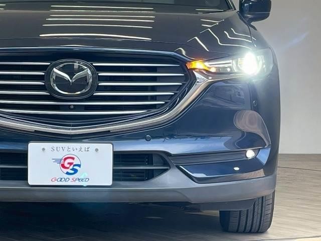 24294414_carP_l_16.jpg