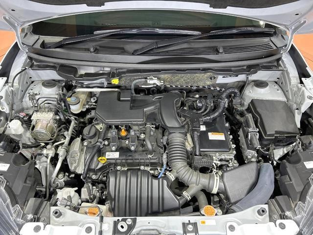 24892136_carP_l_18.jpg