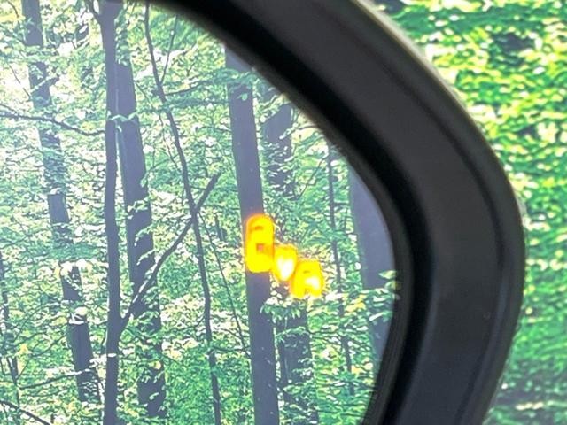 25158250_carP_l_14.jpg