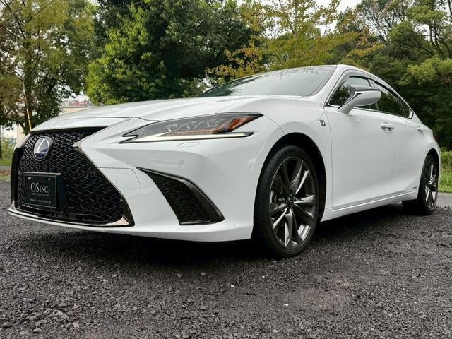 24112617_carP_l_14.jpg