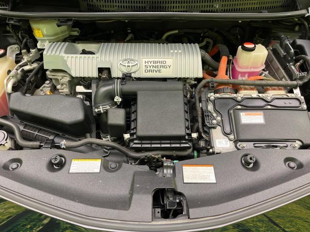 24360274_carP_l_16.jpg