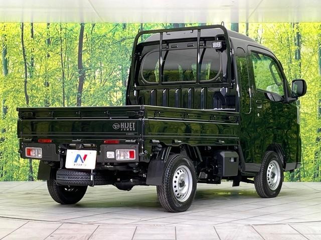 25199630_carP_l_9.jpg