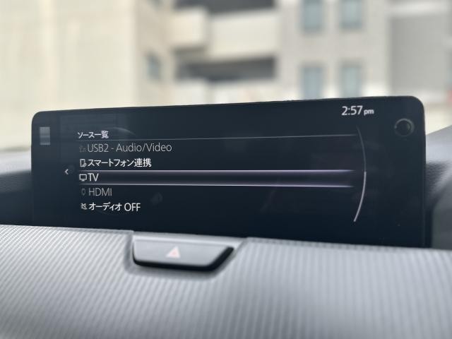 26246376_carP_l_10.jpg