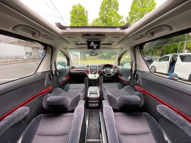24134501_carP_l_15.jpg