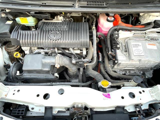 22957110_carP_l_18.jpg