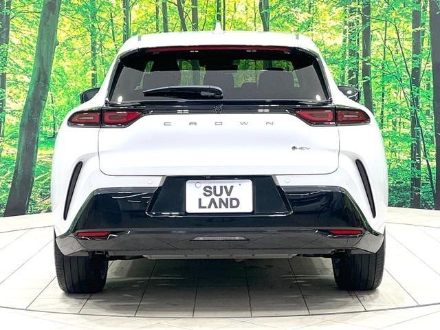 25734669_carP_l_16.jpg