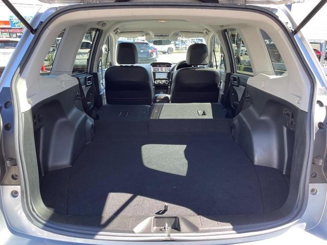 26645532_carP_l_5.jpg
