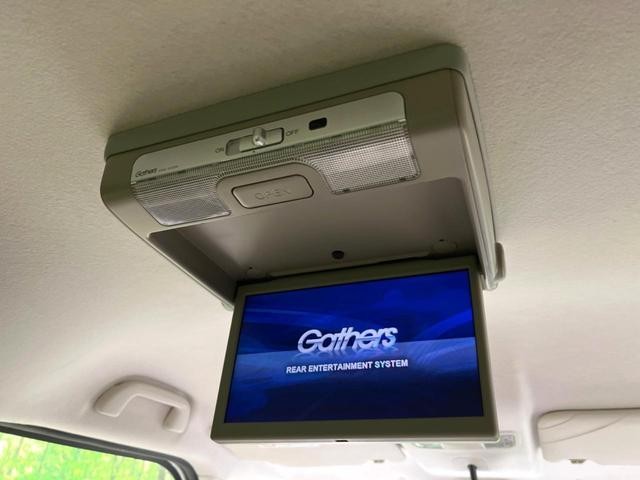25096591_carP_l_4.jpg