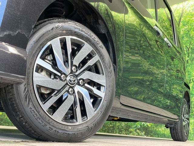 25096690_carP_l_8.jpg