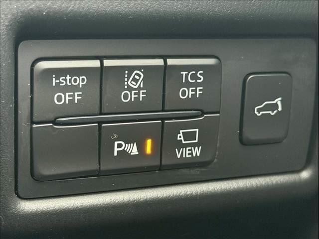 25111744_carP_l_16.jpg