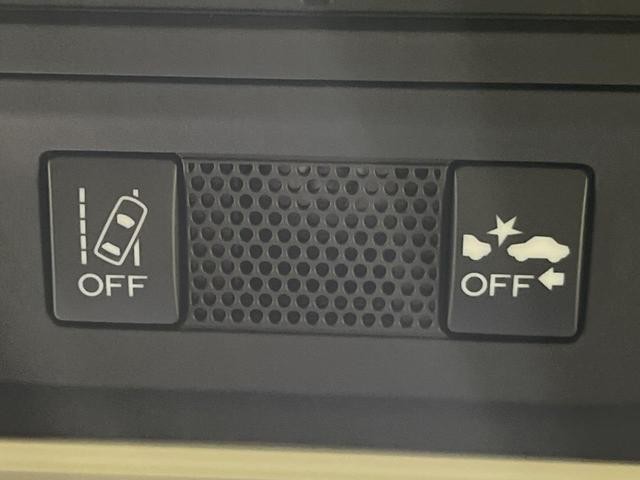 26230470_carP_l_10.jpg