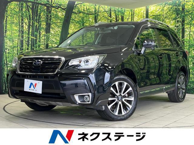24180042_carP_l_1.jpg