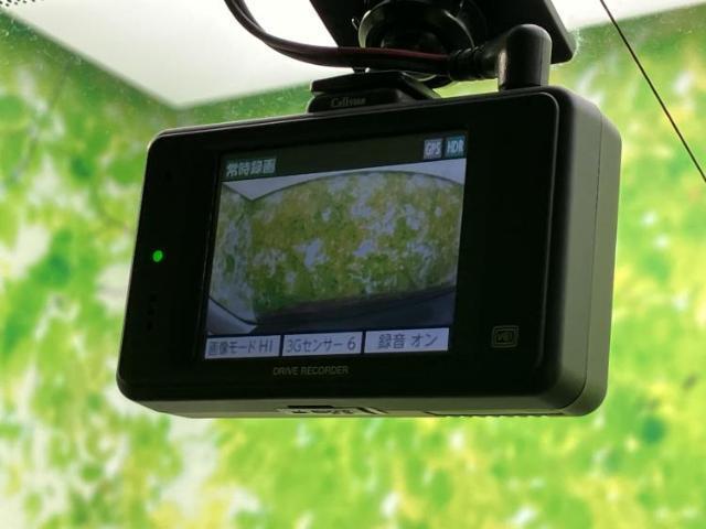 22568446_carP_l_8.jpg