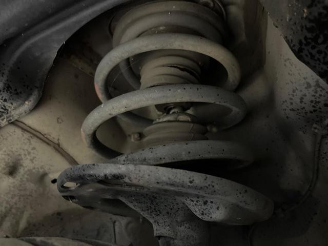 26251803_carP_l_20.jpg