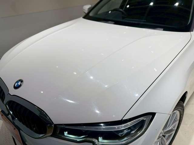 24520435_carP_l_16.jpg