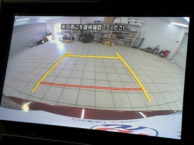 22071019_carP_l_10.jpg