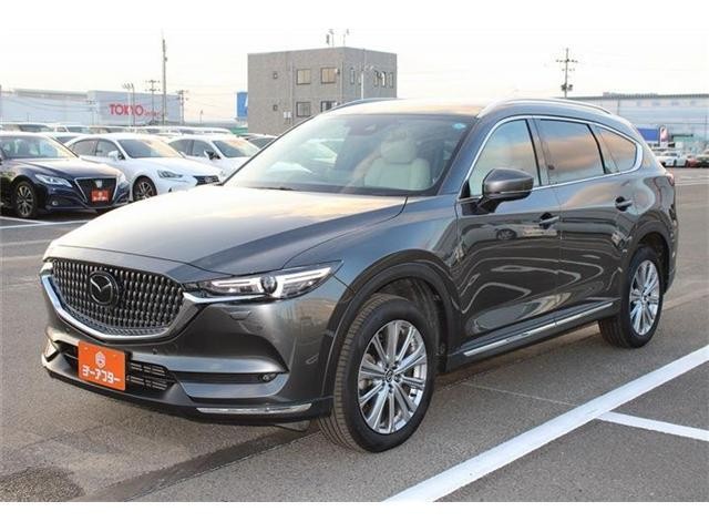 25646921_carP_l_8.jpg