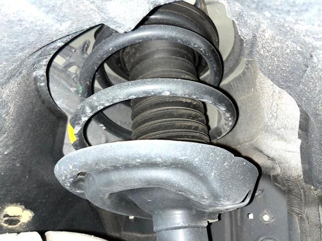 24218881_carP_l_12.jpg