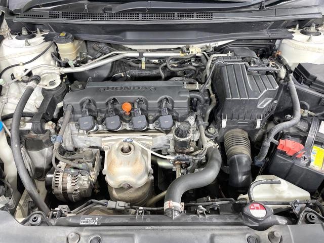 26252093_carP_l_18.jpg