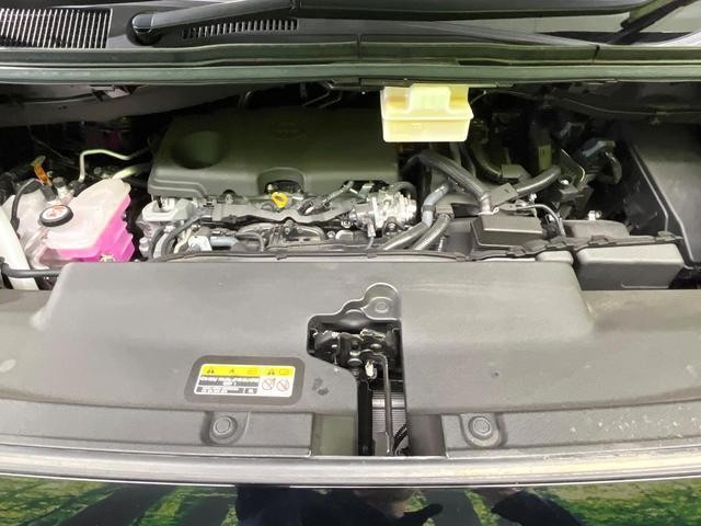 24239461_carP_l_16.jpg