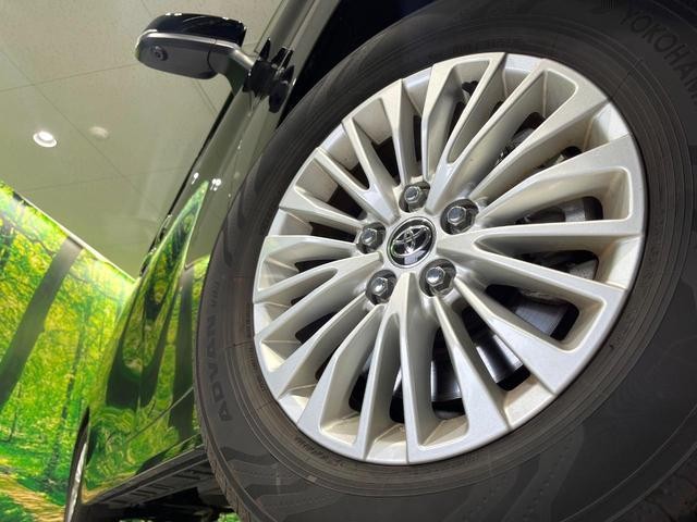 24239461_carP_l_8.jpg