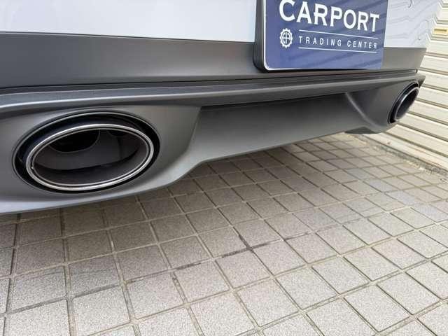 24900227_carP_l_9.jpg
