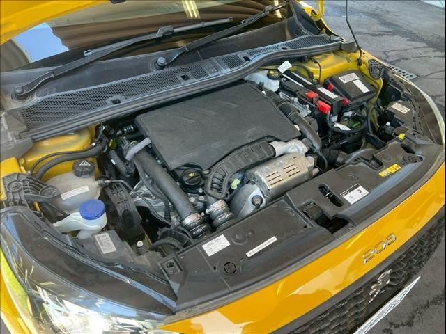 24274351_carP_l_6.jpg