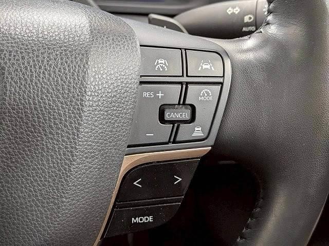 24064936_carP_l_17.jpg
