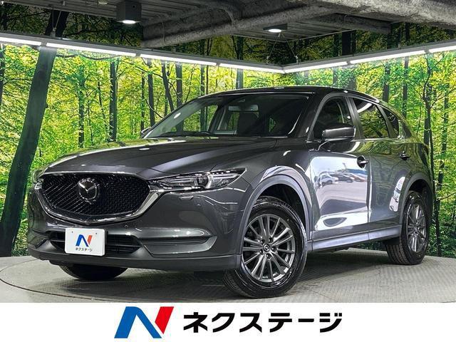23734051_carP_l_1.jpg