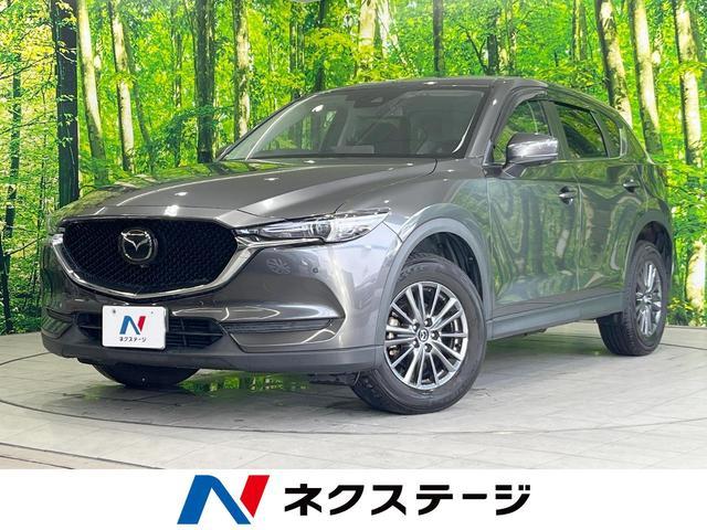 24179597_carP_l_1.jpg