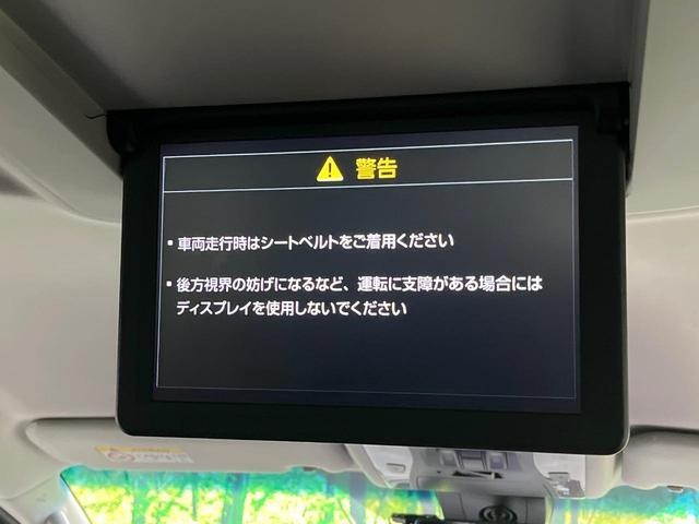 25158186_carP_l_15.jpg