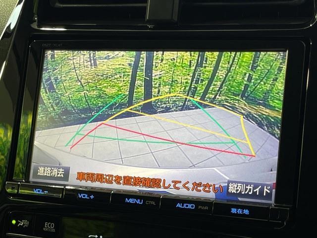 25158270_carP_l_4.jpg
