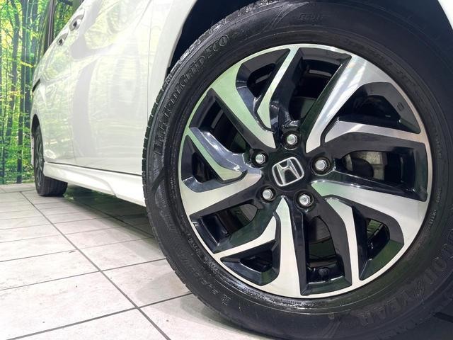 26043731_carP_l_8.jpg