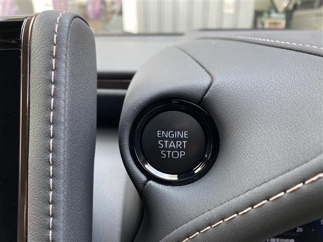 26259244_carP_l_6.jpg