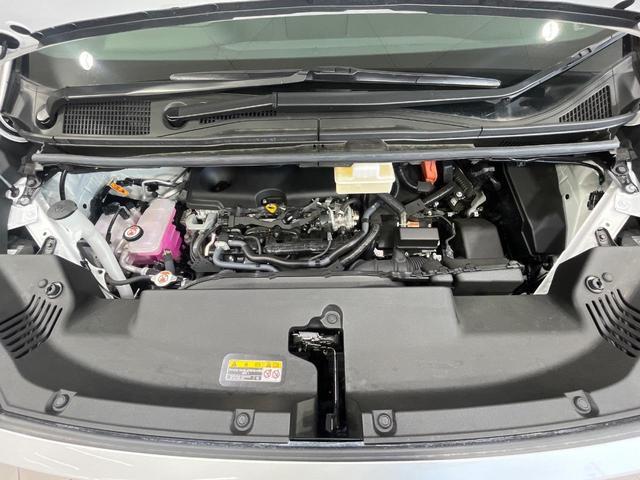 23965717_carP_l_18.jpg