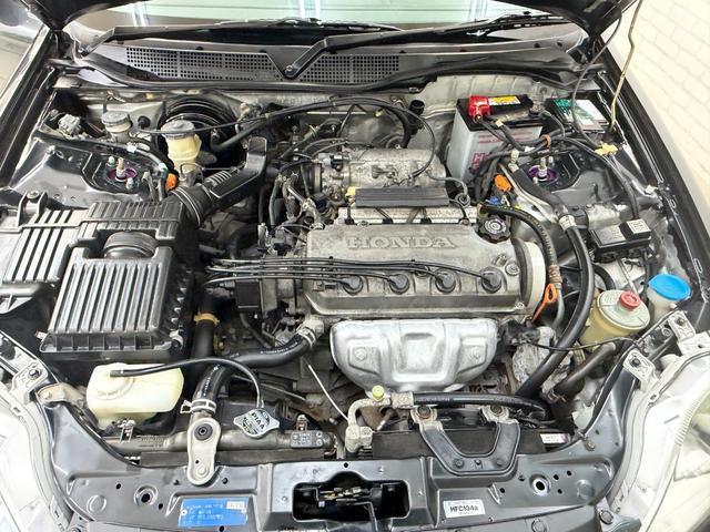 23438087_carP_l_14.jpg