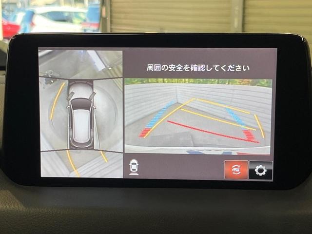 26688369_carP_l_4.jpg