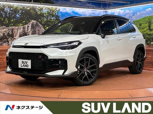 23377253_carP_l_1.jpg