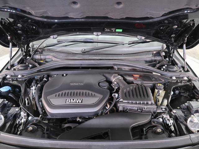 24148759_carP_l_7.jpg