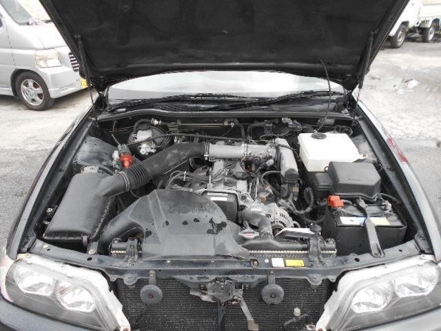 24933242_carP_l_17.jpg